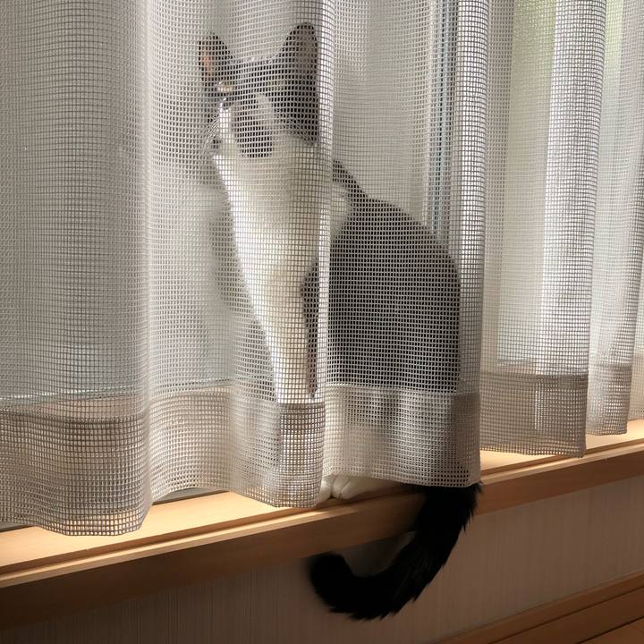 437d70ad 6423 4625 a1ad aa529e1ea5b2 1552021046275