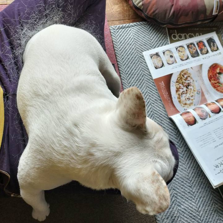 437d999e 1439 4ab2 8a02 bb50c291f3fe 1681592728545