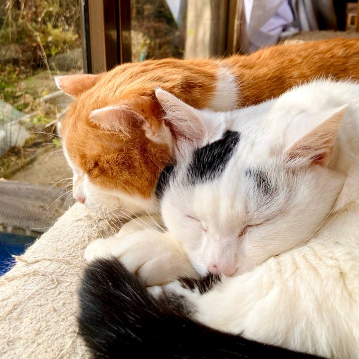 437da07a a47e 4436 8761 094aebbf2771 1705988616341