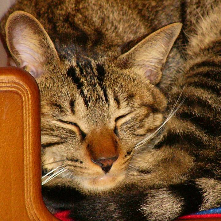 437e0531 2d8e 4189 8b6e b6835cd2b0cd 1508462143690