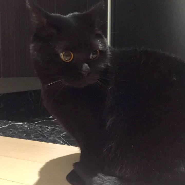 437e28e1 bd73 4cbb 9b21 ca6c686d9483 1580647235686