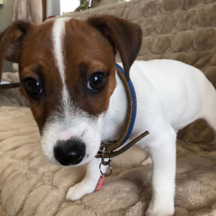 437e5f42 6045 471d 8e37 929119244661 1512786270344