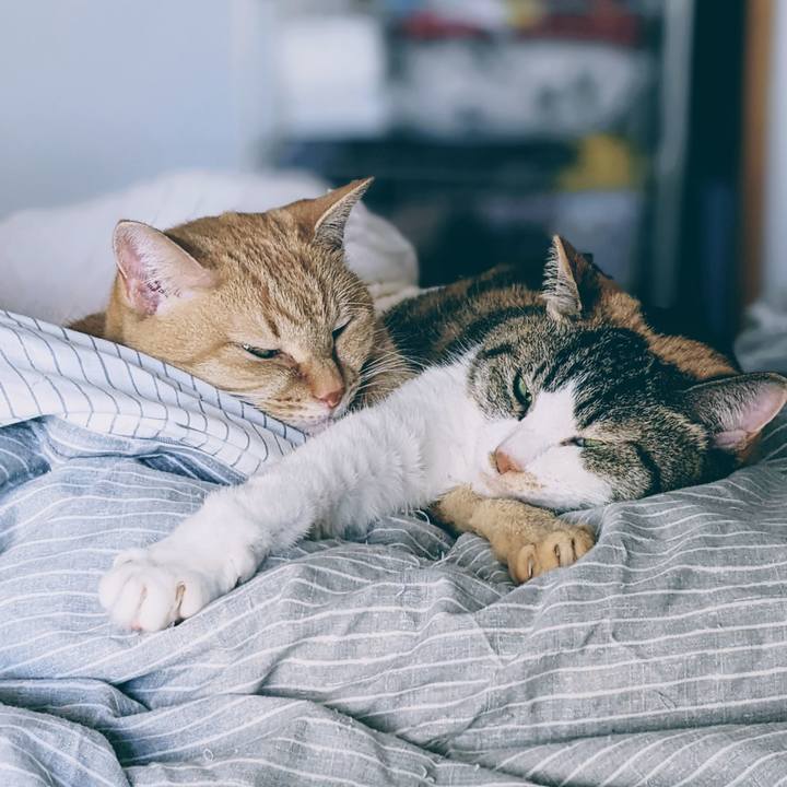 437e6403 c2b1 4a1a a5f5 91726079cc08 1766724349212