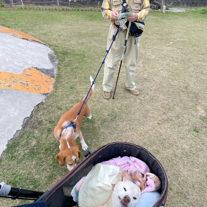 437e74d3 59db 45ad 946d 18d24f23b0dc 1679652234477