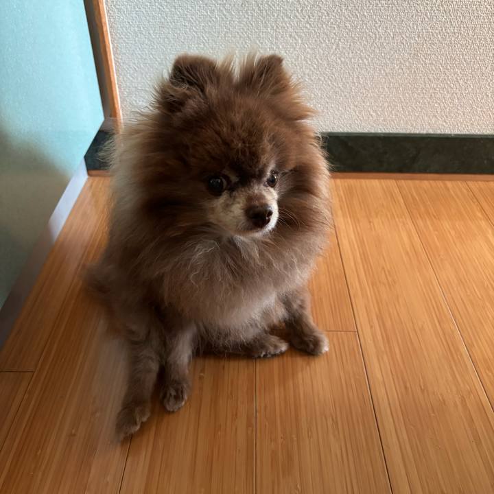 437e8c47 a9a9 4efb b04a 24229bb5c790 1760067766264