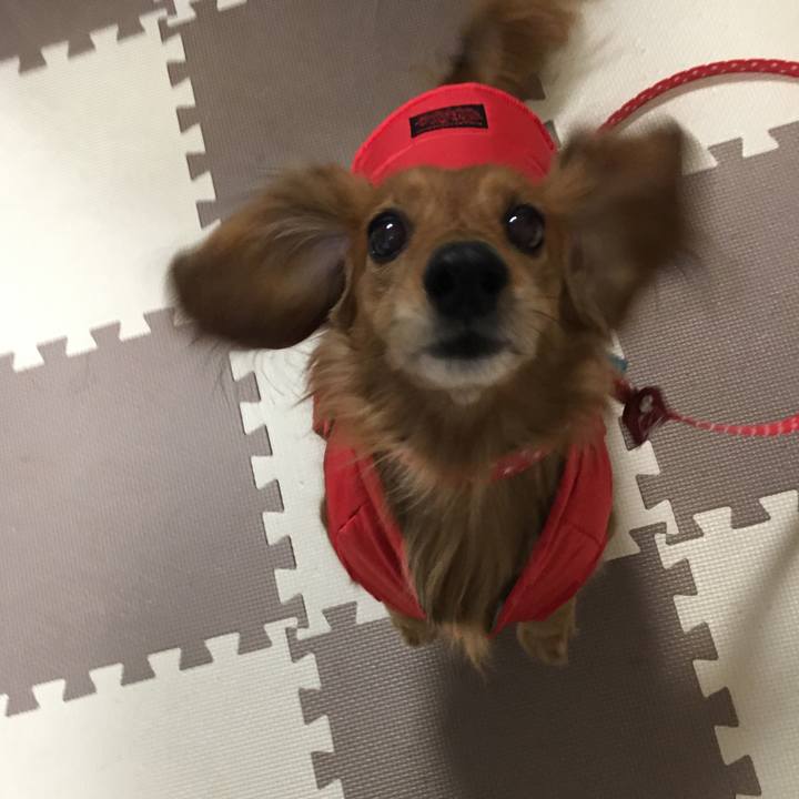 437eb096 3042 4fab 9779 90fd5cb0cd0c 1515761902885