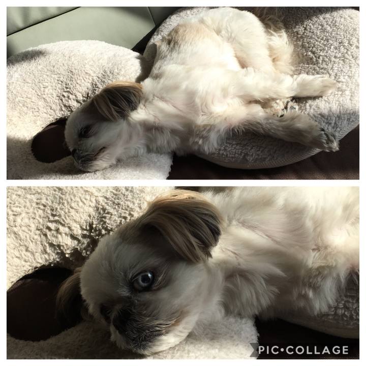 437ed3be 45e3 4858 98f5 7ac861570ae3 1549773678154