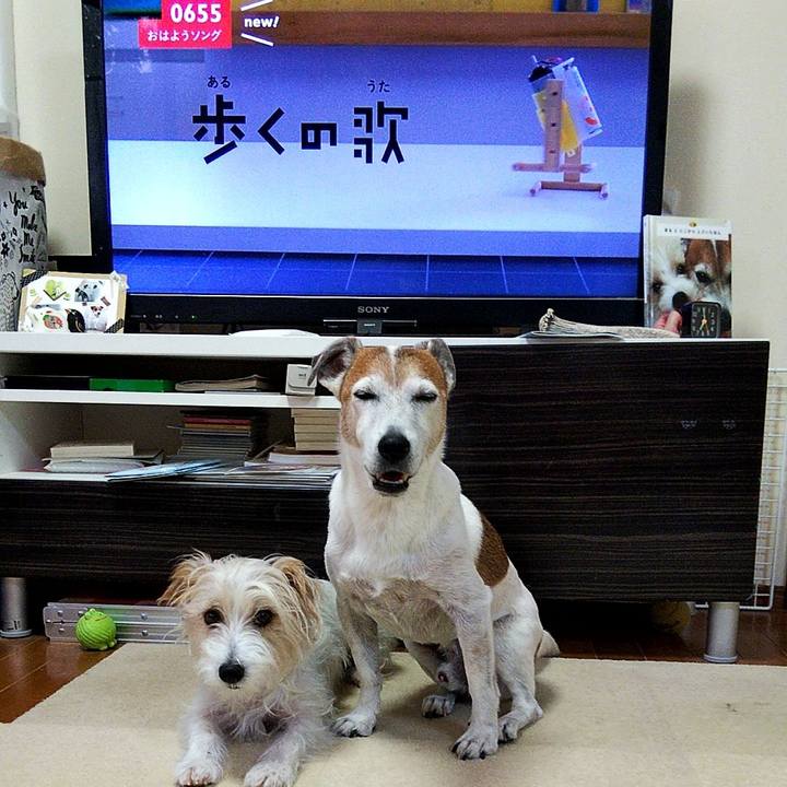 437eddc9 e41b 4909 85b9 893b71767860 1567375671032