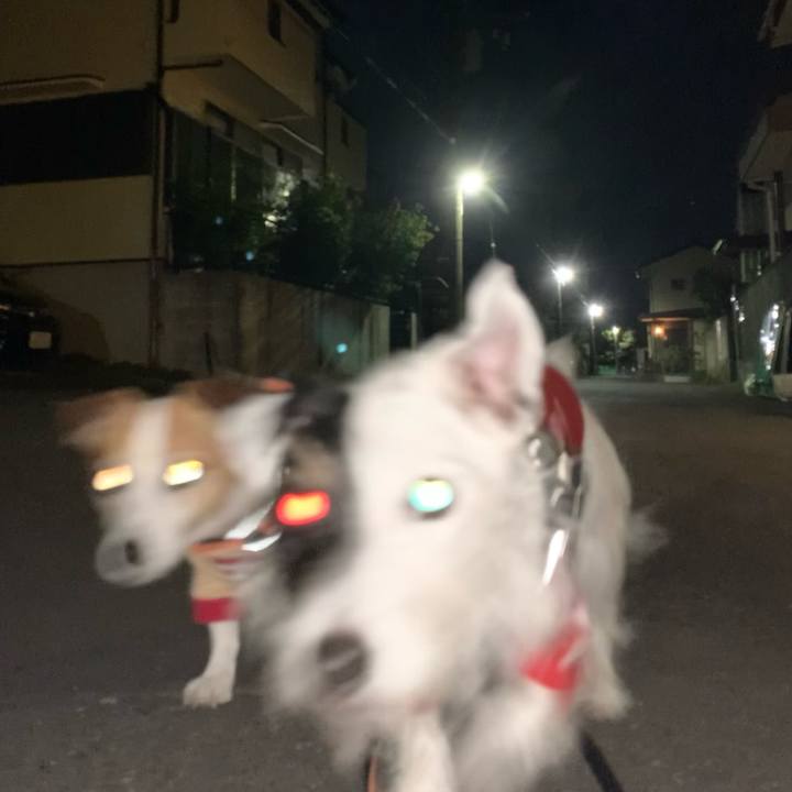 437eee4e 5a8a 4208 838c 973cf24f17fa 1635081150268