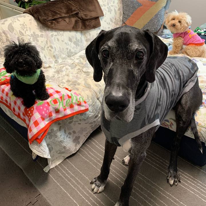 437efcfe 29b1 46a0 8584 d87f612cf861 1589841980020