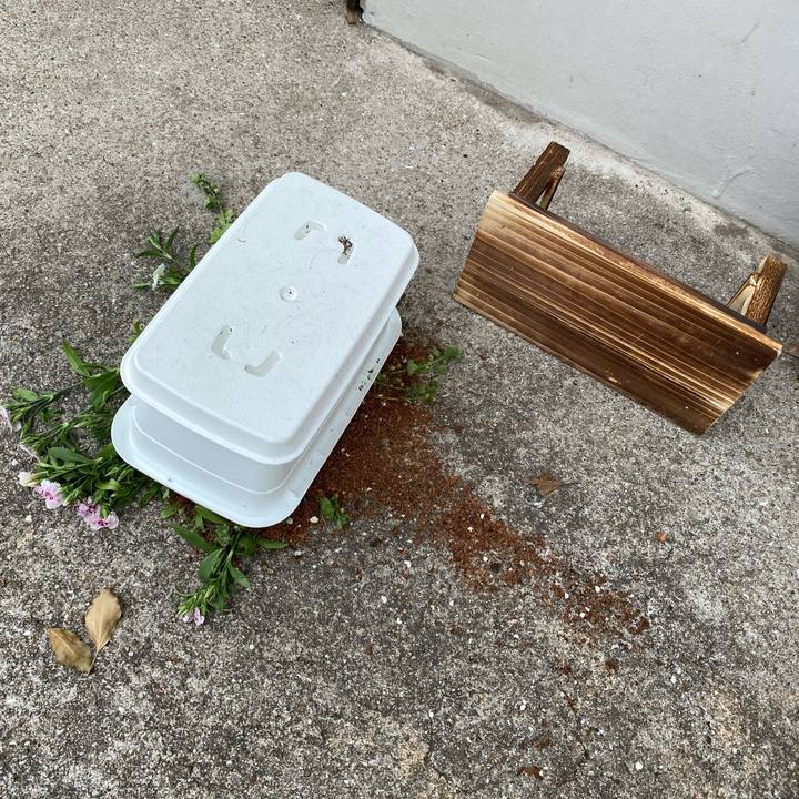 437f0488 c9e3 4141 90bd 4c5ce5819bfe 1617857186843