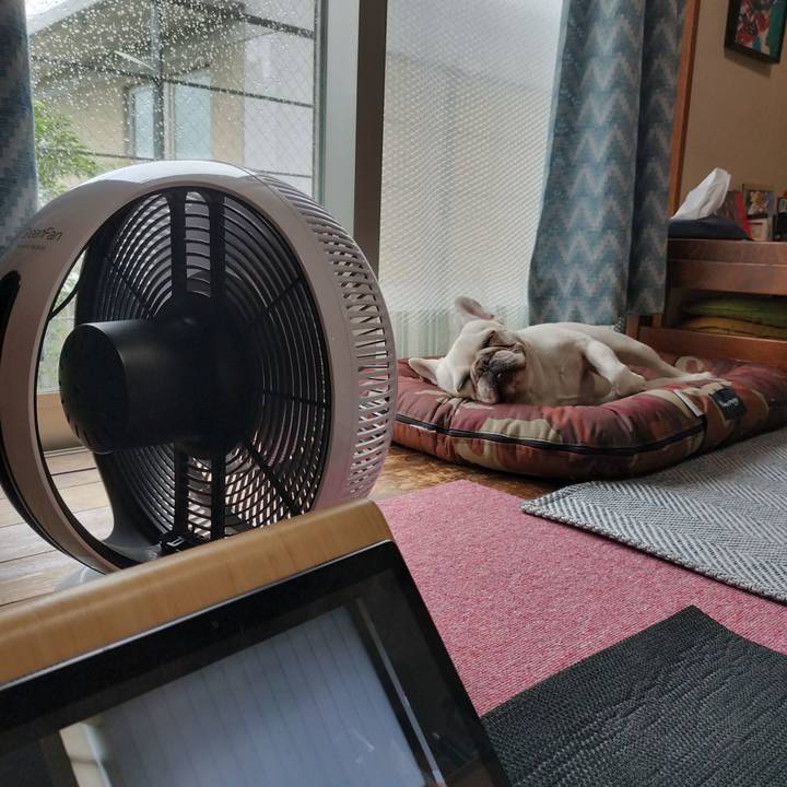 437f0a51 7f88 4dc1 8db5 ffbe8a07193c 1683421503969