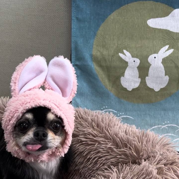 437f61e9 5d98 4a5b 9025 de52e6c53ab9 1695961898850