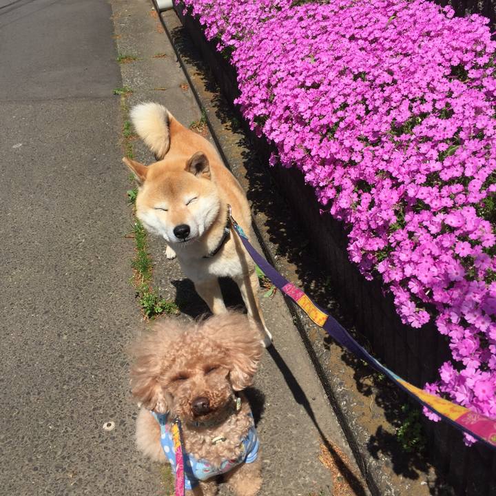 437f69a8 ac6a 4384 98fd 1d0ccdc8aaf6 1523338436664