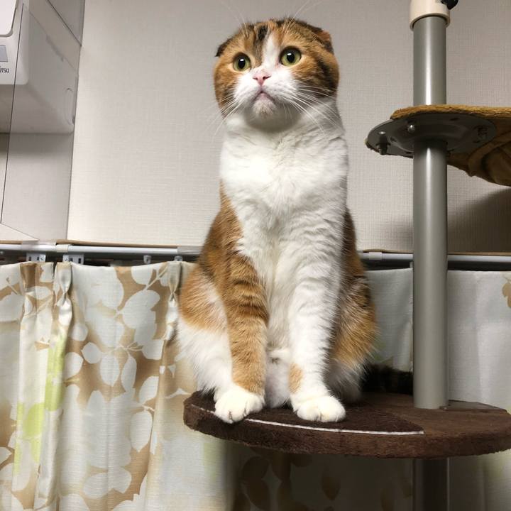 43800b58 73f2 4306 beee 8f70c767bc1f 1536927237762