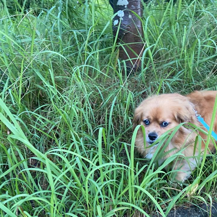 43803864 b325 475f b5f6 9cf11527bf9b 1658436247717