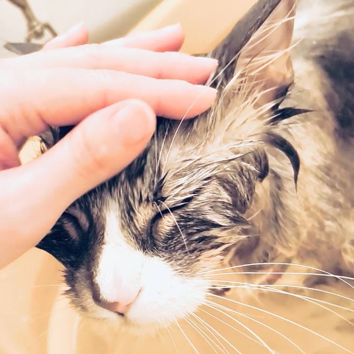 4380565b a07b 450c 81e8 875e206b929d 1764860749595