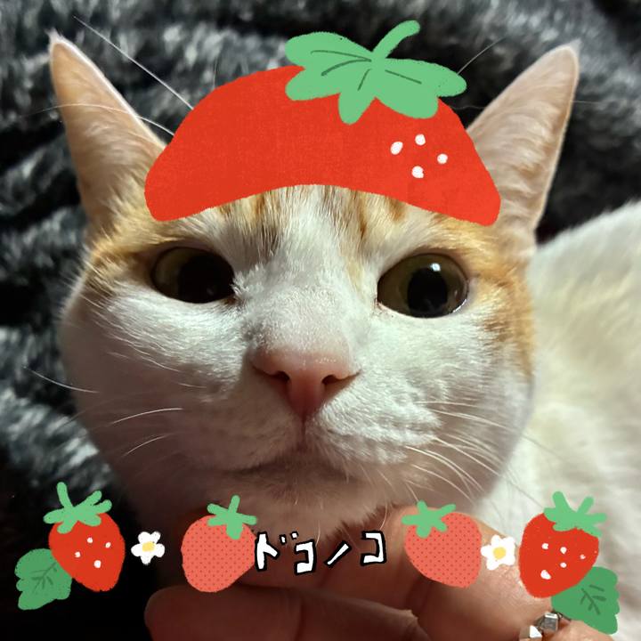 43806e22 ac29 4fb5 a213 909832eeb1fd 1775199573066