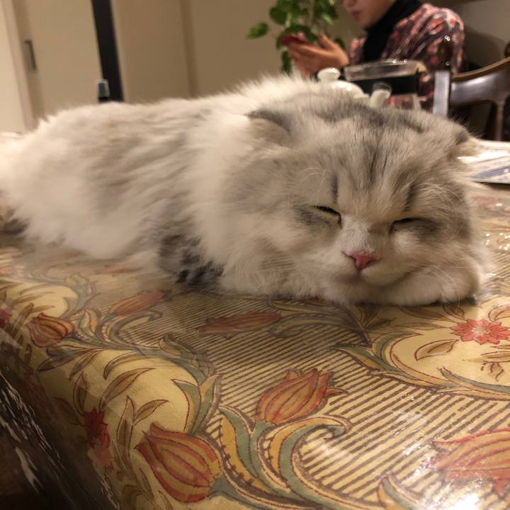 4380753f bb4f 4afb 8dad f61fc914976d 1606652605488