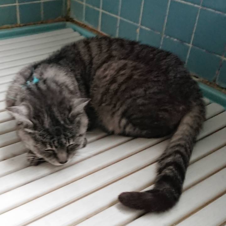 438085de 2262 4e45 9ac0 0e9061a53783 1571967595649