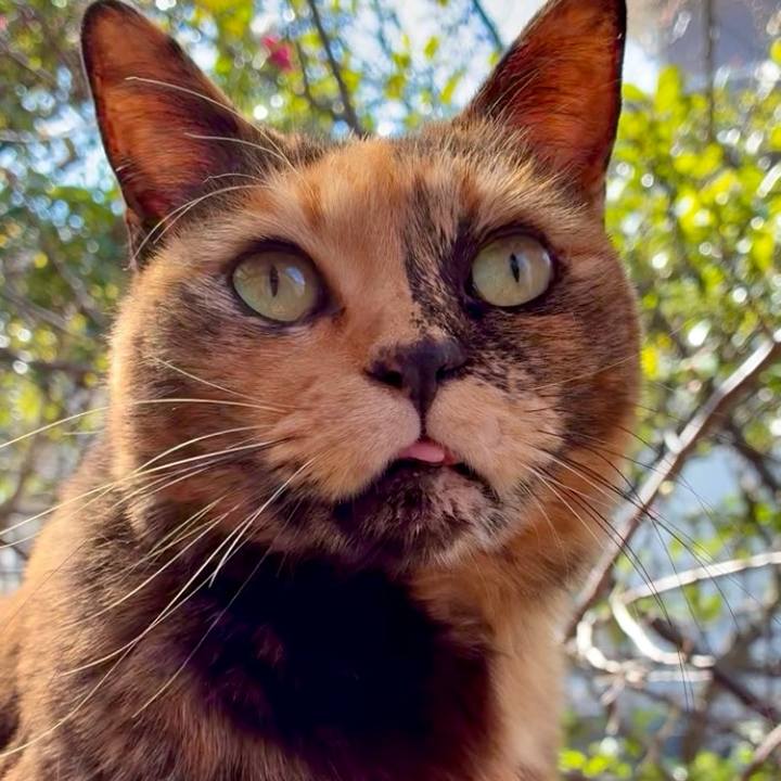 43809f20 02be 4842 b74b 186f8361add4 1771338072267