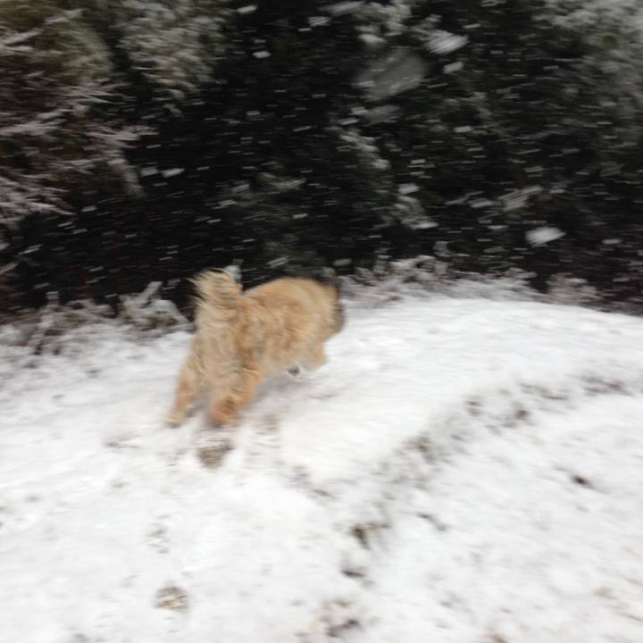 4380b8a4 805e 49c1 8dd6 92ed9619361c 1548809041109