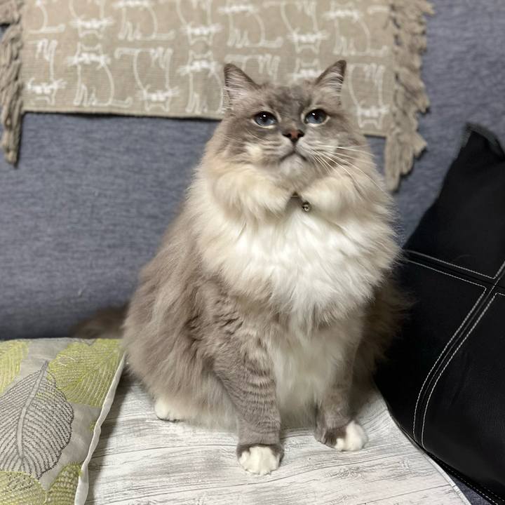 4380ddf5 dcc4 4875 9fbd 83002add0377 1710768034915