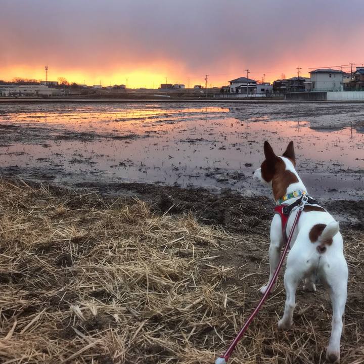 4380ea34 687b 4aca b739 8dac97e5c995 1517823751588