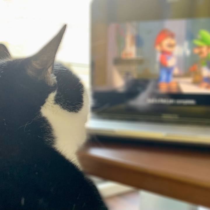 43812ba0 2e40 4558 892f ecaaf06774a1 1704167474310