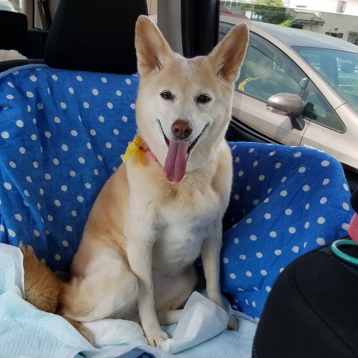 4381798b 7227 4b99 bf5c 910ddf853327 1565531034640