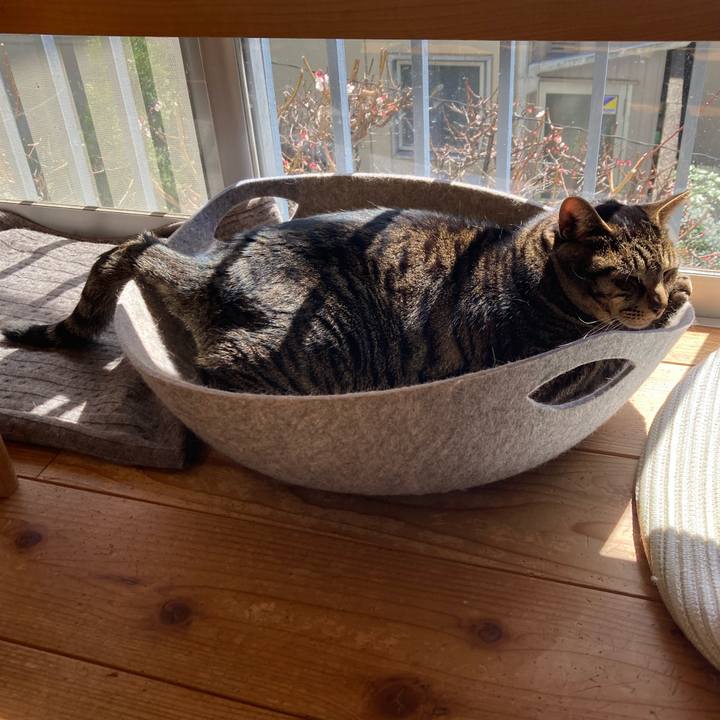 4381915a ca29 4ad5 adce 67095442c5db 1710043005957