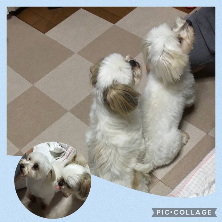 4381939c 2504 4082 854d 1350d1c5966d 1626520251070