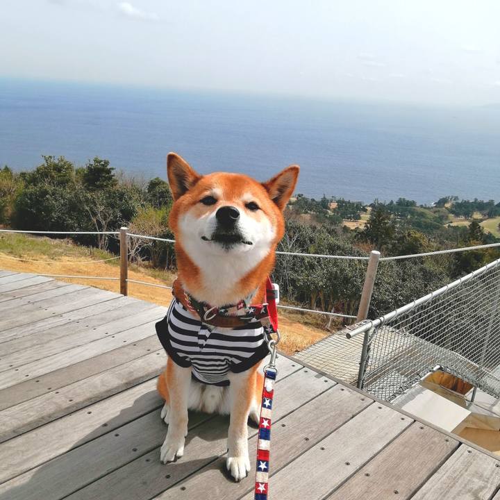 4381c132 1fff 49ad 9973 6e11b8558265 1647906801167