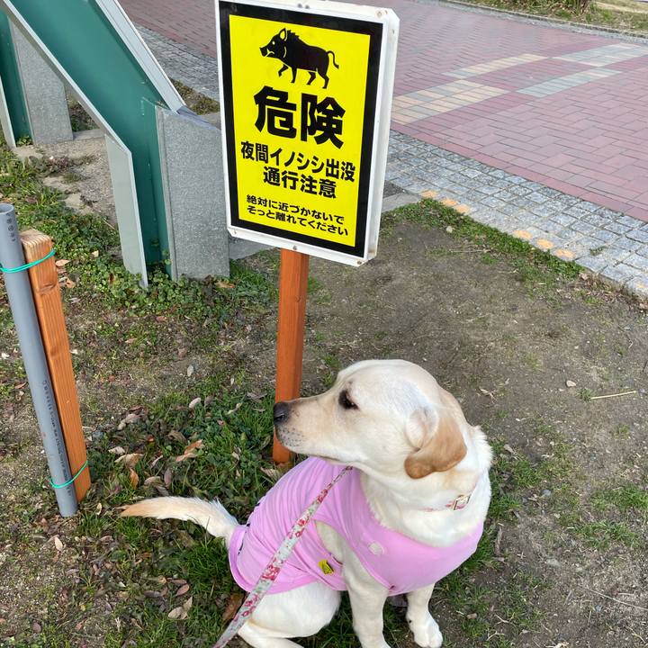 4381e874 0e30 449f 9edb 58884974fe53 1642151563413