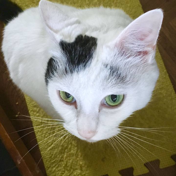 4381ea01 ac5f 4b10 b533 15b597cfb652 1563957182378