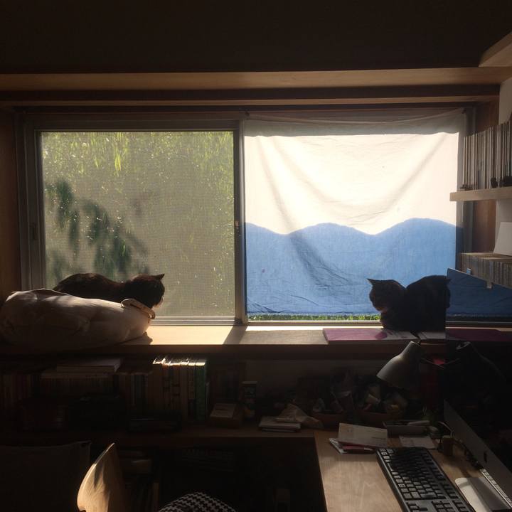 43821d41 ce51 4781 9f0c 0190f3938a53 1587771169252