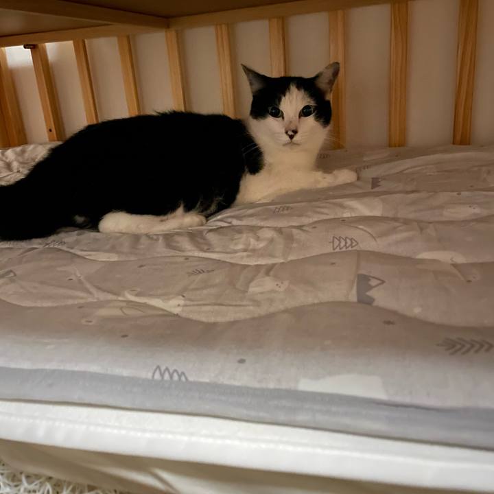 43824563 91ea 4bf1 bbd6 16be0e941ac3 1657913239821