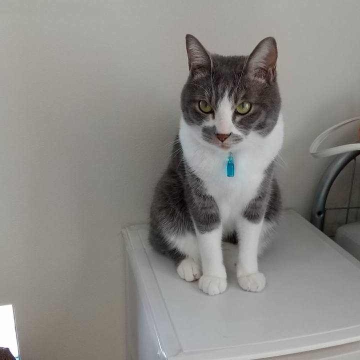 43829d6f 4739 4ab3 8f2f 3d8d3ff61b2c 1645961293791