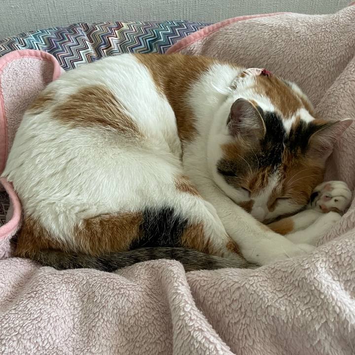 4382a203 7277 4a5d 9ddc 96e11577173e 1641620768402