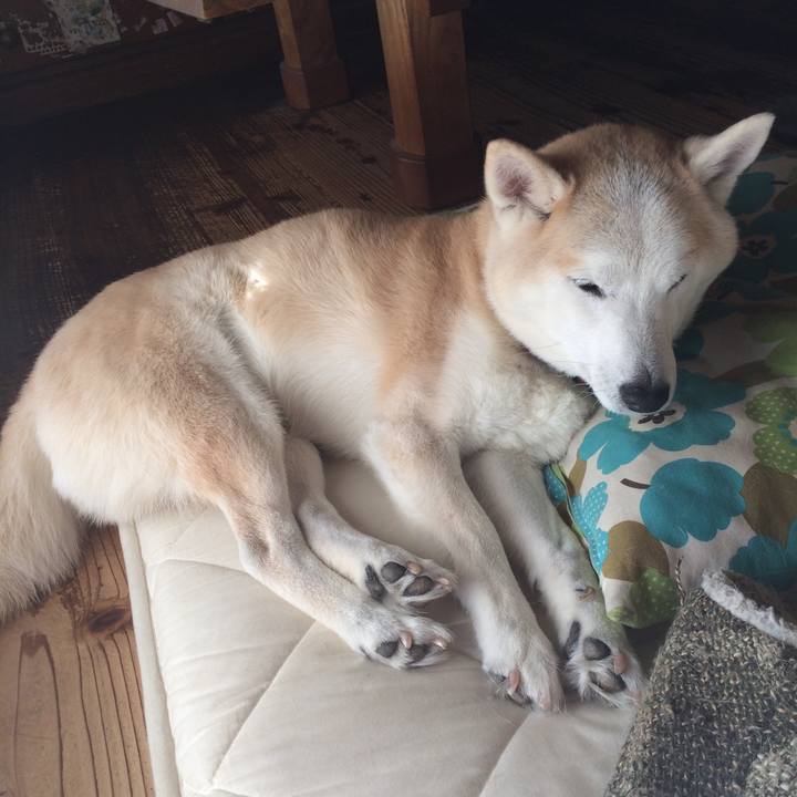 43830915 74c2 4b6e 98dd 11f5724ec751 1547442405412