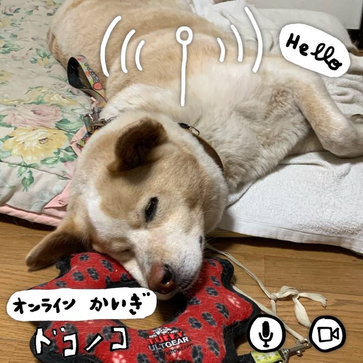 43830a2c 803a 49bd 81d2 26e681a457fa 1590679017741