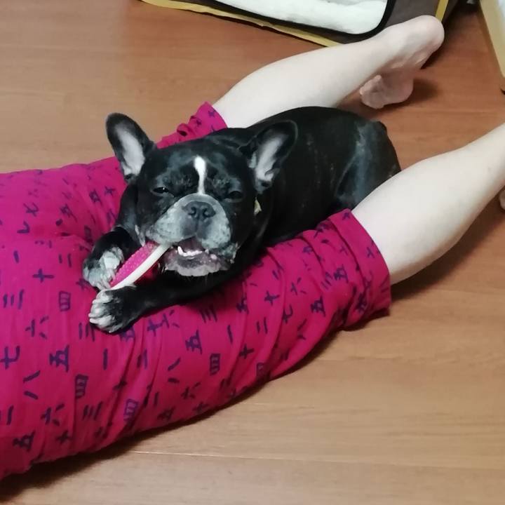 438320c7 83a3 4bbd b32e e985401ab8b0 1599735522283