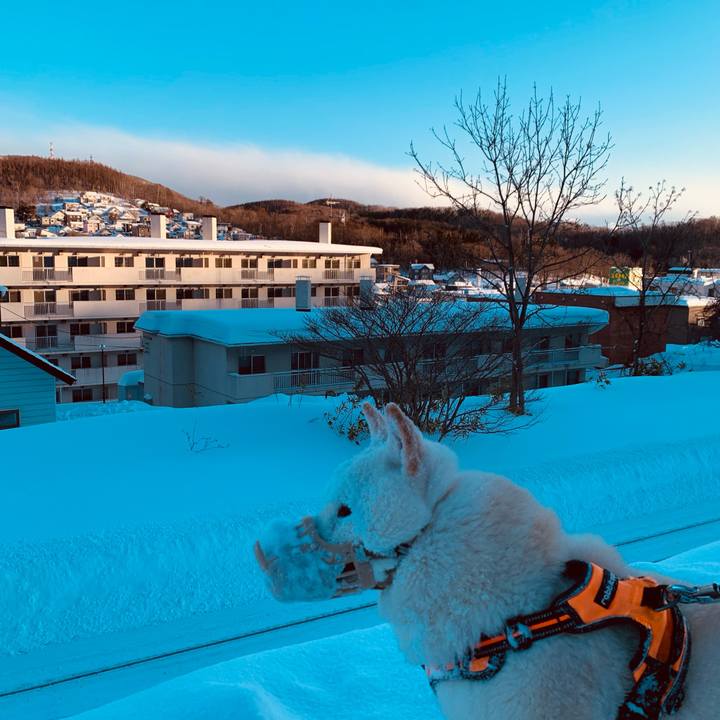 43833401 ffc8 43b9 a8eb f63823bf6a60 1674947157805