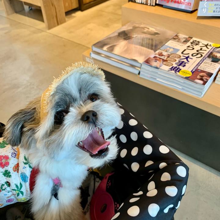 4383398d 0fca 4d43 a5ce 41678d37a3ce 1628121969598