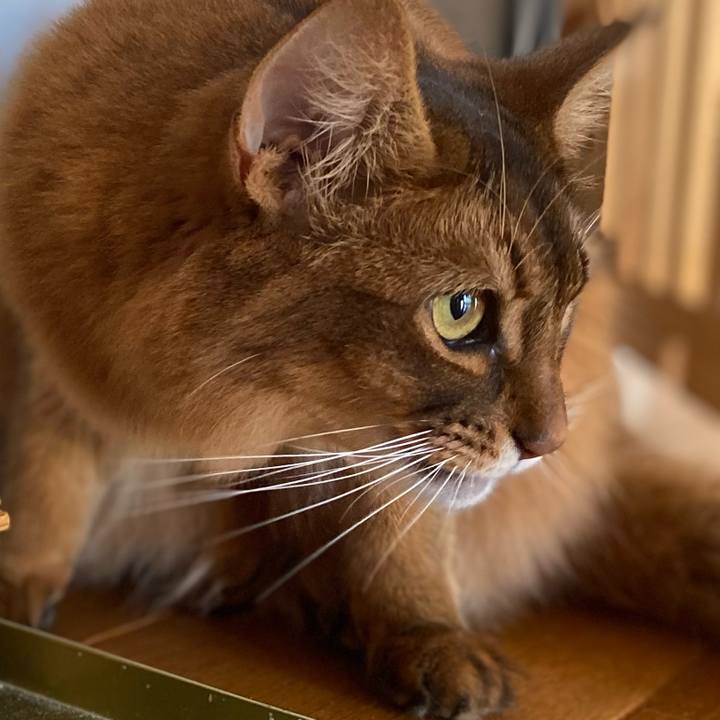 43834a98 25df 405c a6f8 d50c1bcfef35 1665705803135