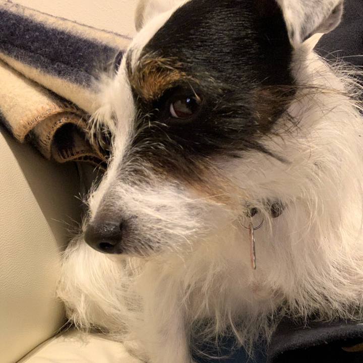 43834d5a 60cb 45ac b425 b8899129a172 1606897800012