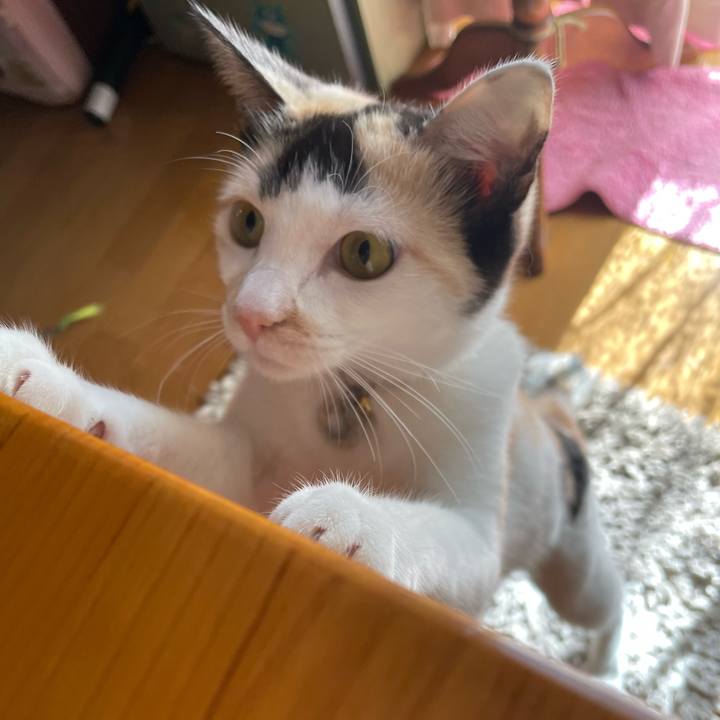 43839b7c 6045 4abd ad04 60f2d48972bc 1677285871489