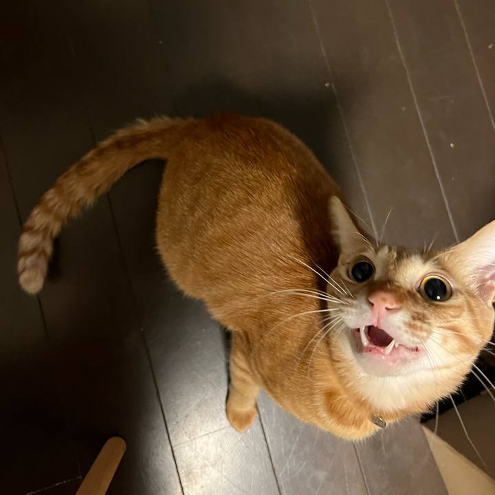 4383a374 ea06 4387 bca6 3a52aa612ad8 1644437294837