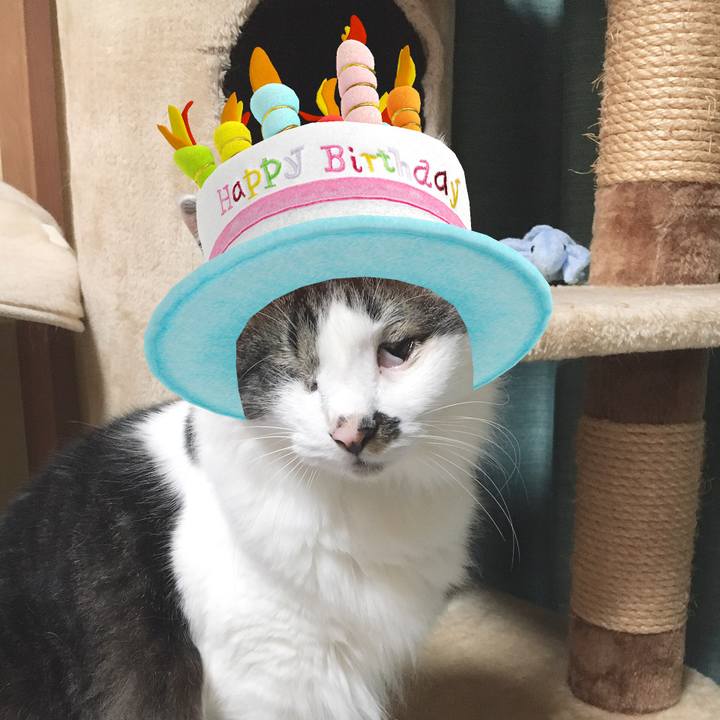 4383da4f a5f3 49ad a584 55a905850927 1563258455779