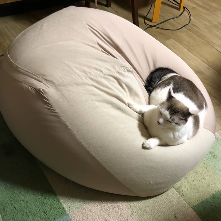 4384163f 7d19 4455 af62 533cf70132dc 1636295081572